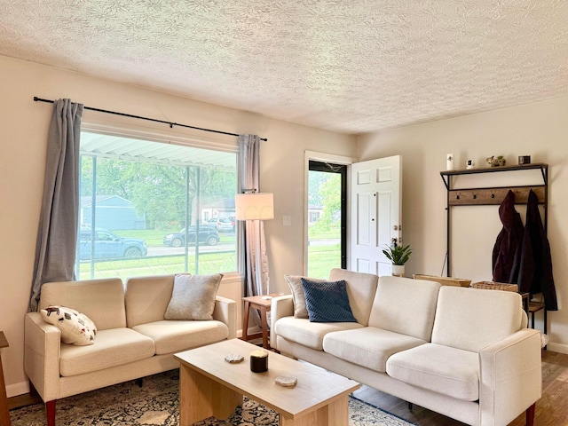 3811 Bradford Dr, Hilliard, OH 43026 - living room with wood finished floors and a textured ceiling
