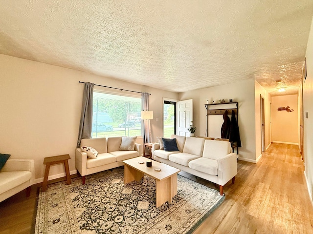 3811 Bradford Dr, Hilliard, OH 43026 - living room featuring light wood-style floors and a textured ceiling