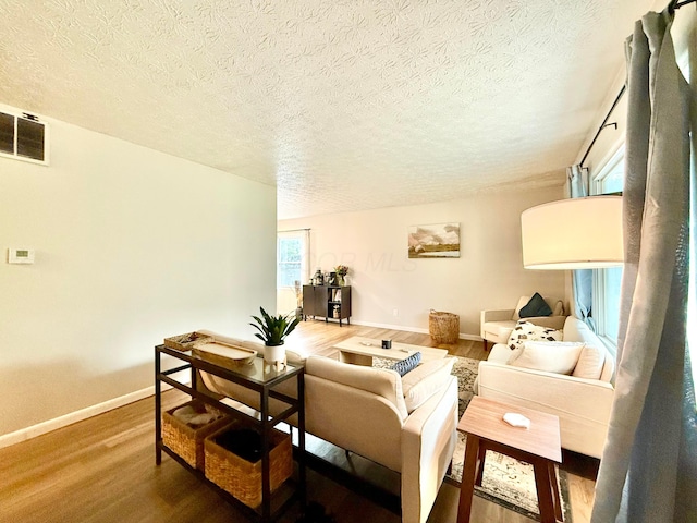3811 Bradford Dr, Hilliard, OH 43026 - living room featuring wood finished floors and a textured ceiling