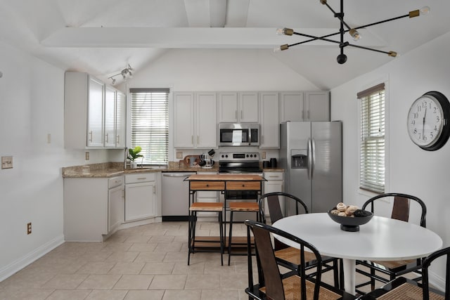251 Detroit Ave, Columbus, OH 43201 - kitchen with stainless steel appliances, plenty of natural light, a chandelier, and light tile patterned floors