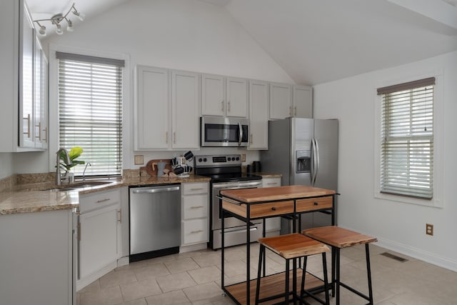 251 Detroit Ave, Columbus, OH 43201 - kitchen with stainless steel appliances, plenty of natural light, light stone countertops, and high vaulted ceiling