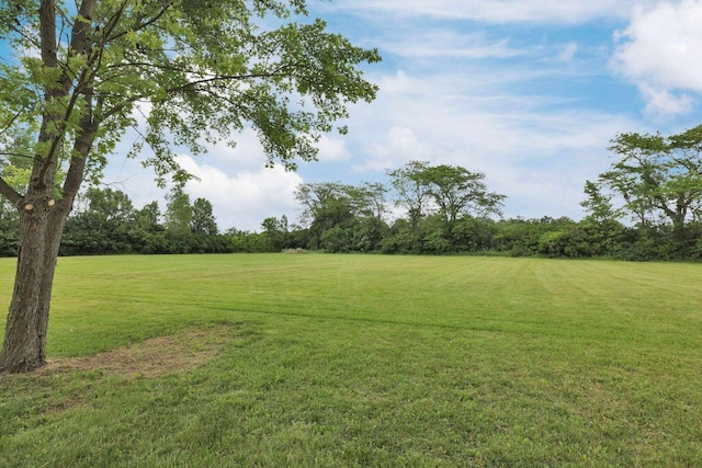 6658 Ridpath Rd, Grove City, OH 43123 - view of green lawn