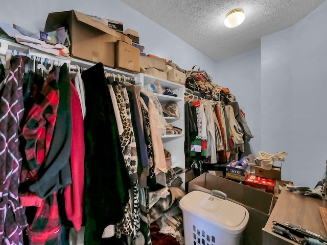 3136 Fabyan Dr, Reynoldsburg, OH 43068 - view of spacious closet