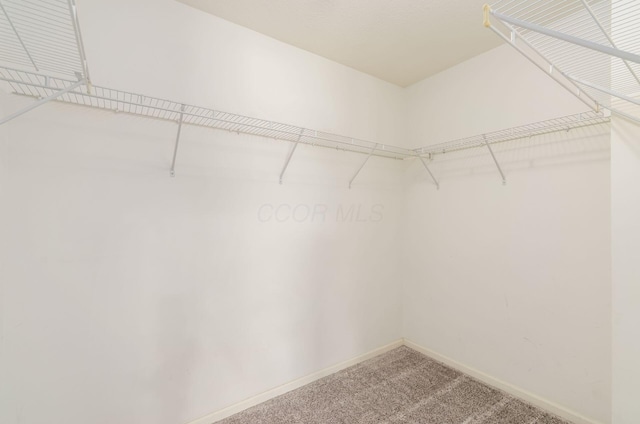 1171 Park Dr, Gahanna, OH 43230 - spacious closet with carpet floors