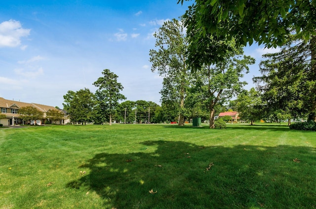 1171 Park Dr, Gahanna, OH 43230 - view of grassy yard