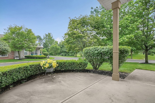 262 Alexander Lawrence Dr, Pickerington, OH 43147 - view of patio