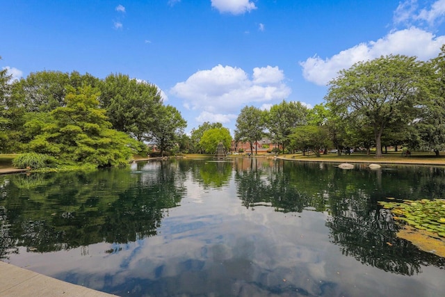25 Victorian Gate Way, Columbus, OH 43215 - water view
