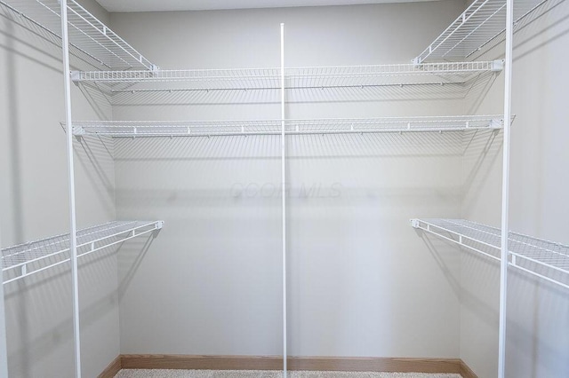 551 Cannondale Ave, Johnstown, OH 43031 - view of walk in closet