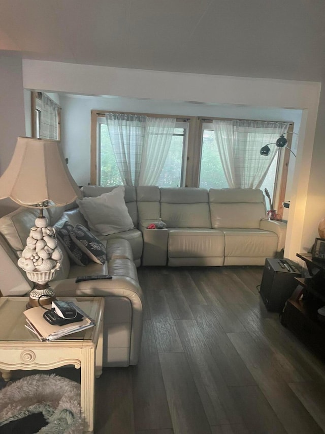 8429 Jericho Way, Plain City, OH 43064 - living room featuring dark wood-type flooring