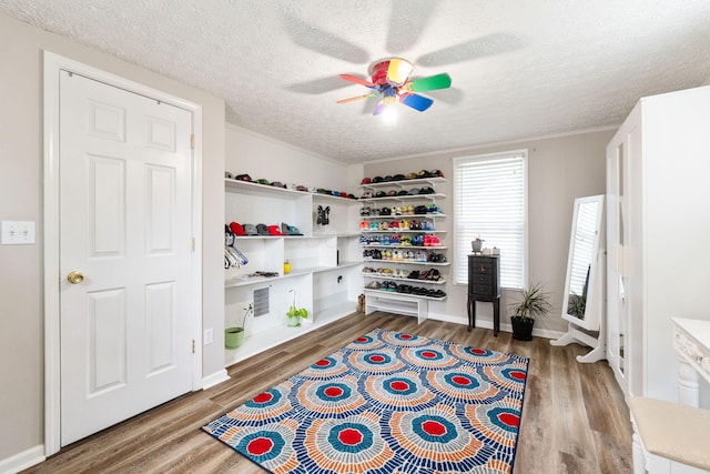 115 Maple Ave, Utica, OH 43080 - recreation room featuring wood finished floors, ceiling fan, a textured ceiling, and ornamental molding
