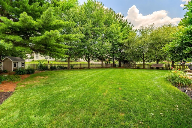 13191 Brandon Cir, Pickerington, OH 43147 - view of yard with a storage shed