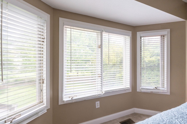 13191 Brandon Cir, Pickerington, OH 43147 - carpeted bedroom featuring multiple windows