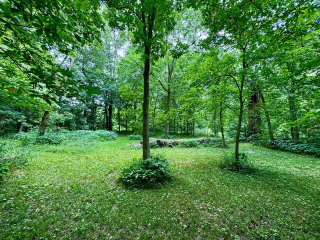 25805 Chillicothe Pike, Williamsport, OH 43164 - photo 4