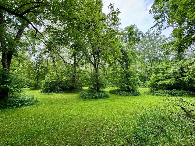25805 Chillicothe Pike, Williamsport, OH 43164 - photo 5