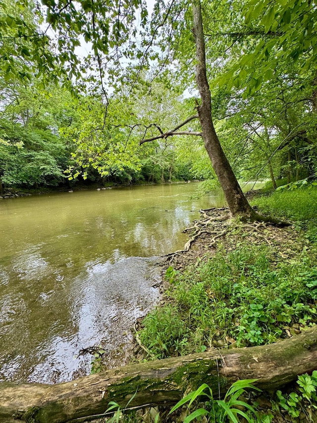 25805 Chillicothe Pike, Williamsport, OH 43164 - photo 8