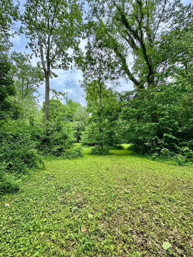 25805 Chillicothe Pike, Williamsport, OH 43164 - photo 9