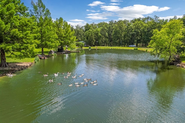 1800 Lynnbrook Ct, Orient, OH 43146 - water view