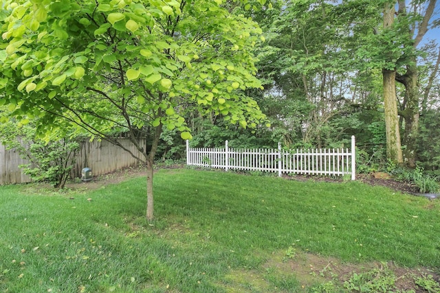 6817 Riding Trail Dr, Canal Winchester, OH 43110 - view of yard