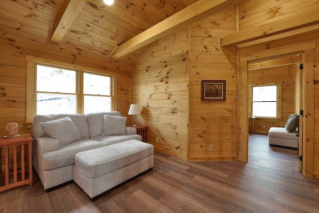 1607 Kato Ln, Sugar Grove, OH 43155 - living room with wood ceiling, wood walls, and wood finished floors