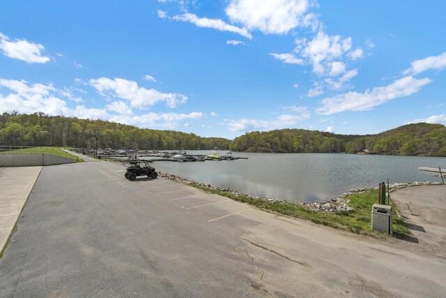 1607 Kato Ln, Sugar Grove, OH 43155 - water view featuring a heavily wooded area