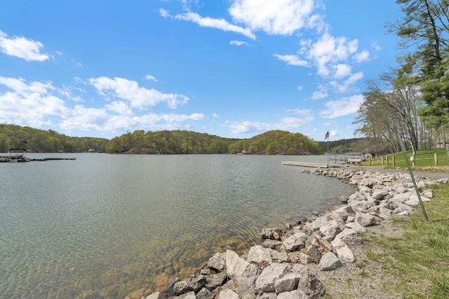 1607 Kato Ln, Sugar Grove, OH 43155 - water view with a forest