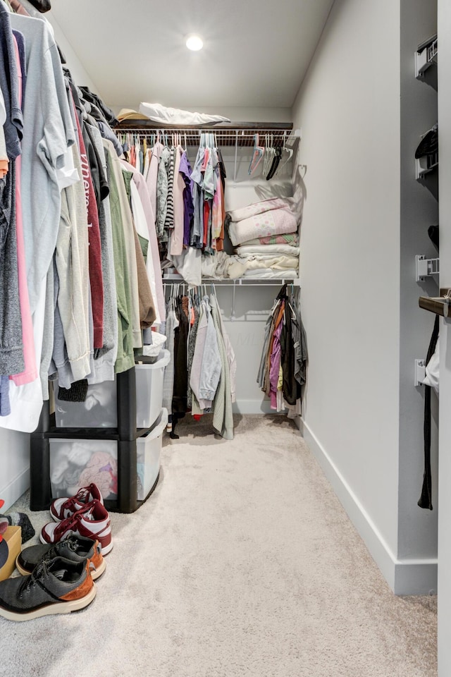 225 Messenger Way, Lewis Center, OH 43035 - walk in closet with carpet