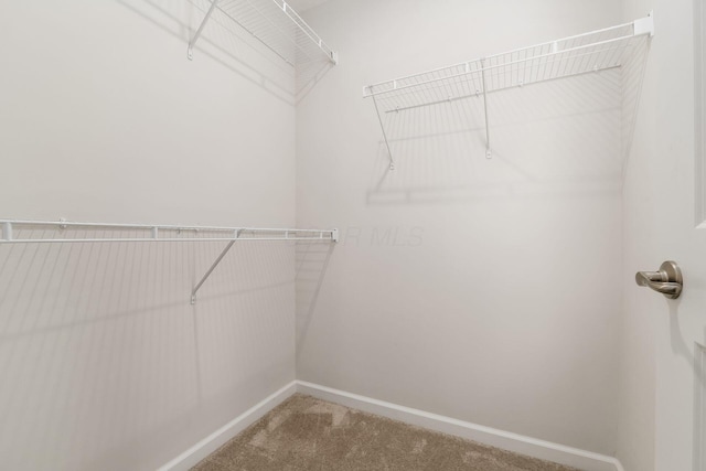 1878 Timber View Ct, Pataskala, OH 43062 - photo 41