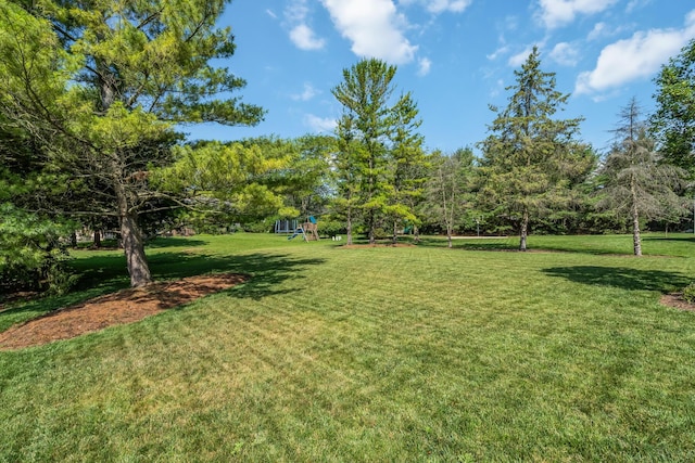 7043 Cavalry Ct, Dublin, OH 43017 - photo 40