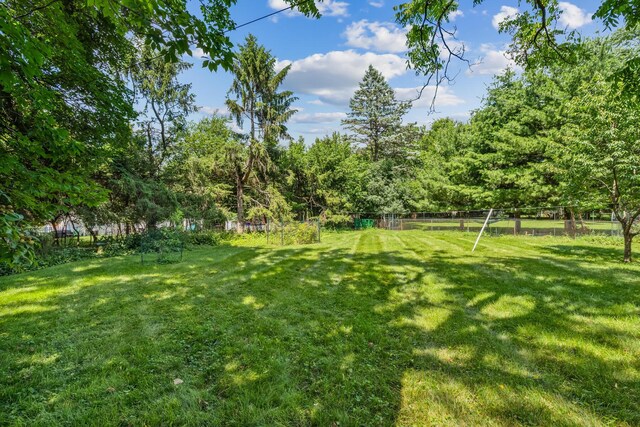 6750 Schreiner St E, Worthington, OH 43085 - view of yard