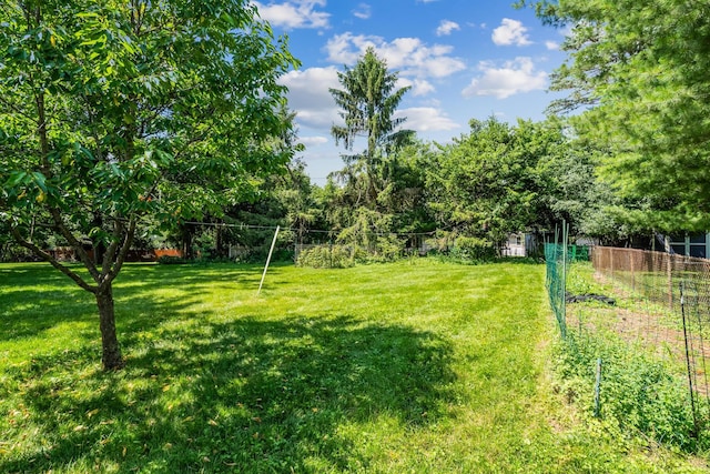 6750 Schreiner St E, Worthington, OH 43085 - view of yard