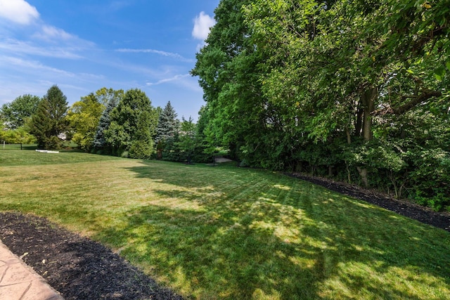 7672 Tullymore Dr, Dublin, OH 43016 - view of green lawn