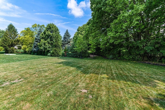 7672 Tullymore Dr, Dublin, OH 43016 - view of green lawn