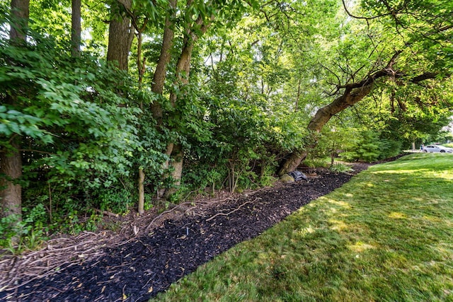 7672 Tullymore Dr, Dublin, OH 43016 - view of grassy yard featuring a view of trees