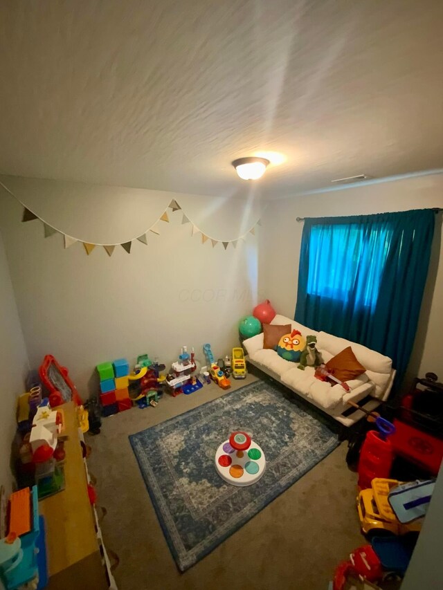 2901 Nuway Rd, Columbus, OH 43207 - rec room featuring carpet flooring