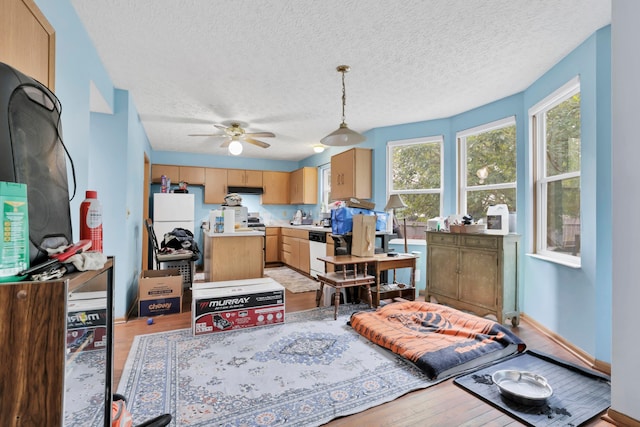 3490 Blendon Bend Way, Columbus, OH 43231 - living room featuring light wood-style flooring, ceiling fan, and a textured ceiling