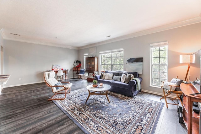 6028 Inishmore Ln, Dublin, OH 43017 - living room featuring wood finished floors and crown molding