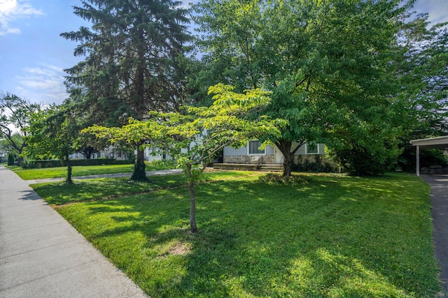 1717 Audrey Rd, Columbus, OH 43224 - view of front facade with a front lawn and stone siding