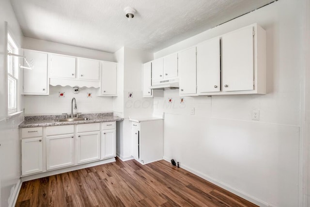 1717 Audrey Rd, Columbus, OH 43224 - kitchen featuring under cabinet range hood, white cabinets, dark wood-style flooring, light countertops, and backsplash