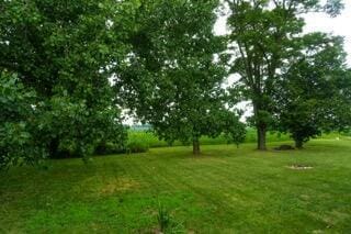 11280 US Highway 23, Lockbourne, OH 43137 - view of green lawn