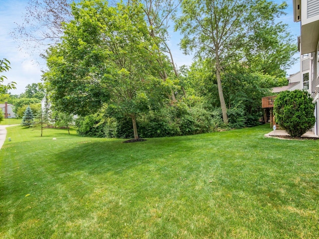 291 Hawthorn Blvd, Delaware, OH 43015 - photo 47