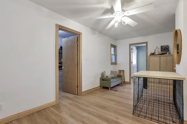 11620 Highland Park, Logan, OH 43138 - interior space with light wood finished floors, a ceiling fan, and a textured ceiling