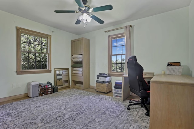 11620 Highland Park, Logan, OH 43138 - home office with wood finished floors, healthy amount of natural light, and ceiling fan