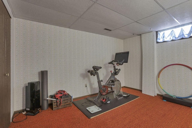 11620 Highland Park, Logan, OH 43138 - workout room featuring a drop ceiling and carpet