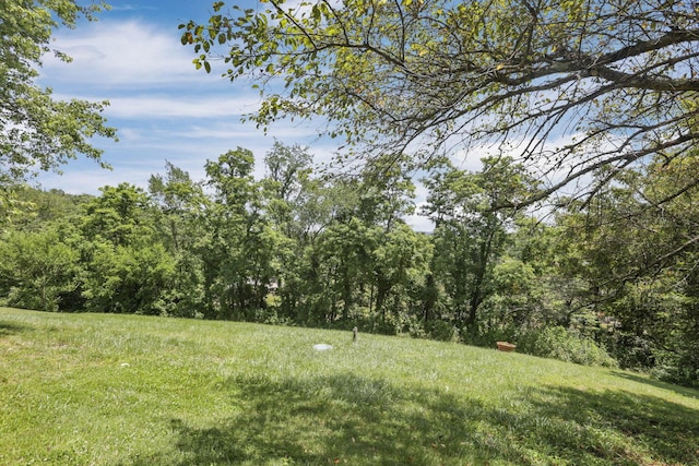 11620 Highland Park, Logan, OH 43138 - view of yard featuring a forest view
