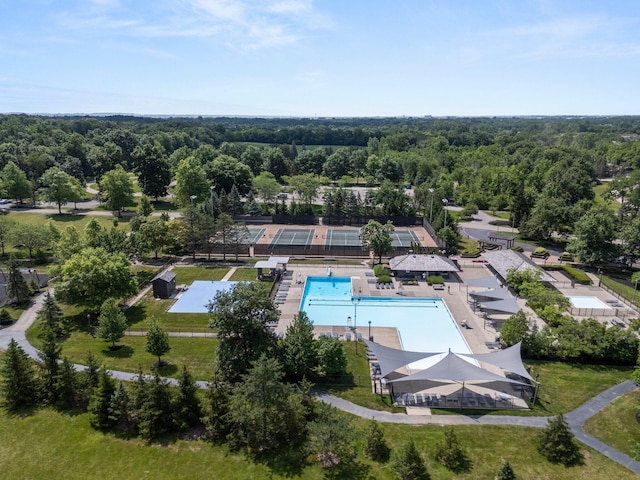 5720 Loch Maree Ct, Dublin, OH 43017 - aerial view of a pool area and a heavily wooded area