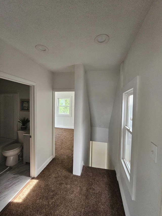 689 Reinhard Ave, Columbus, OH 43206 - bonus room featuring carpet floors and a textured ceiling