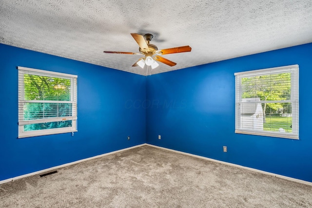 4905 Mckenna Ct, Columbus, OH 43221 - carpeted spare room with plenty of natural light, ceiling fan, and a textured ceiling