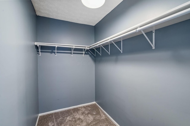 4905 Mckenna Ct, Columbus, OH 43221 - spacious closet with carpet floors