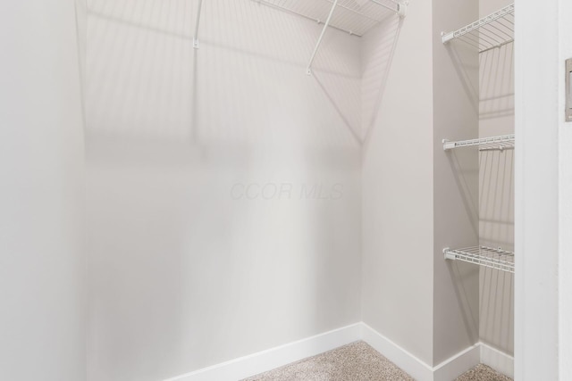 310 S Ogden Ave, Columbus, OH 43204 - spacious closet featuring carpet