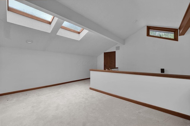 71 Denison Dr, Granville, OH 43023 - bonus room with a skylight and carpet flooring